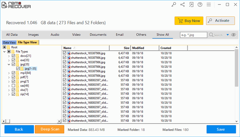 recovered files in file the file type view